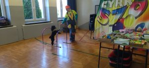 Pokaz tresury psów podczas przedstawienia cyrkowego.